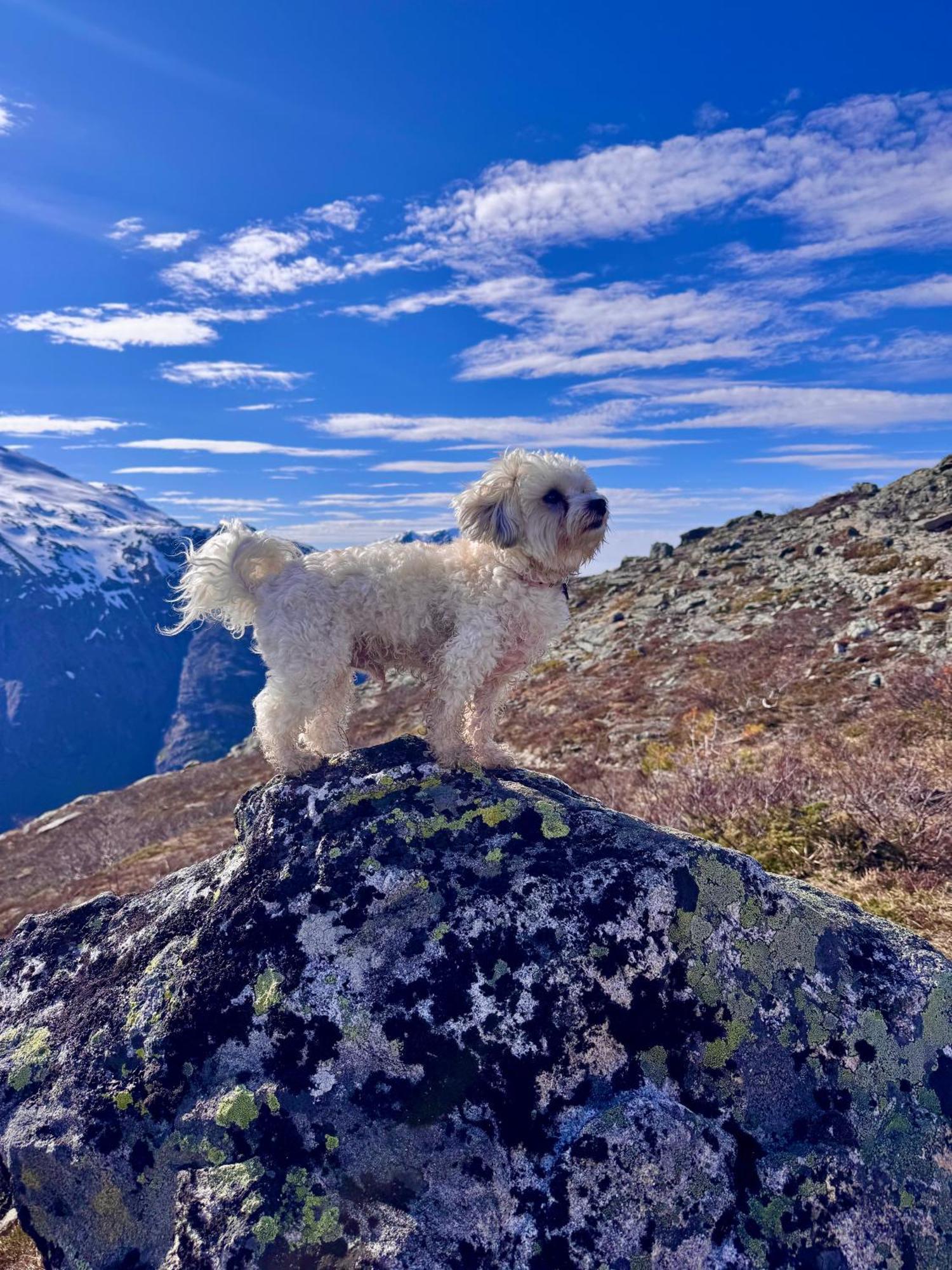 Bispen Utsikten