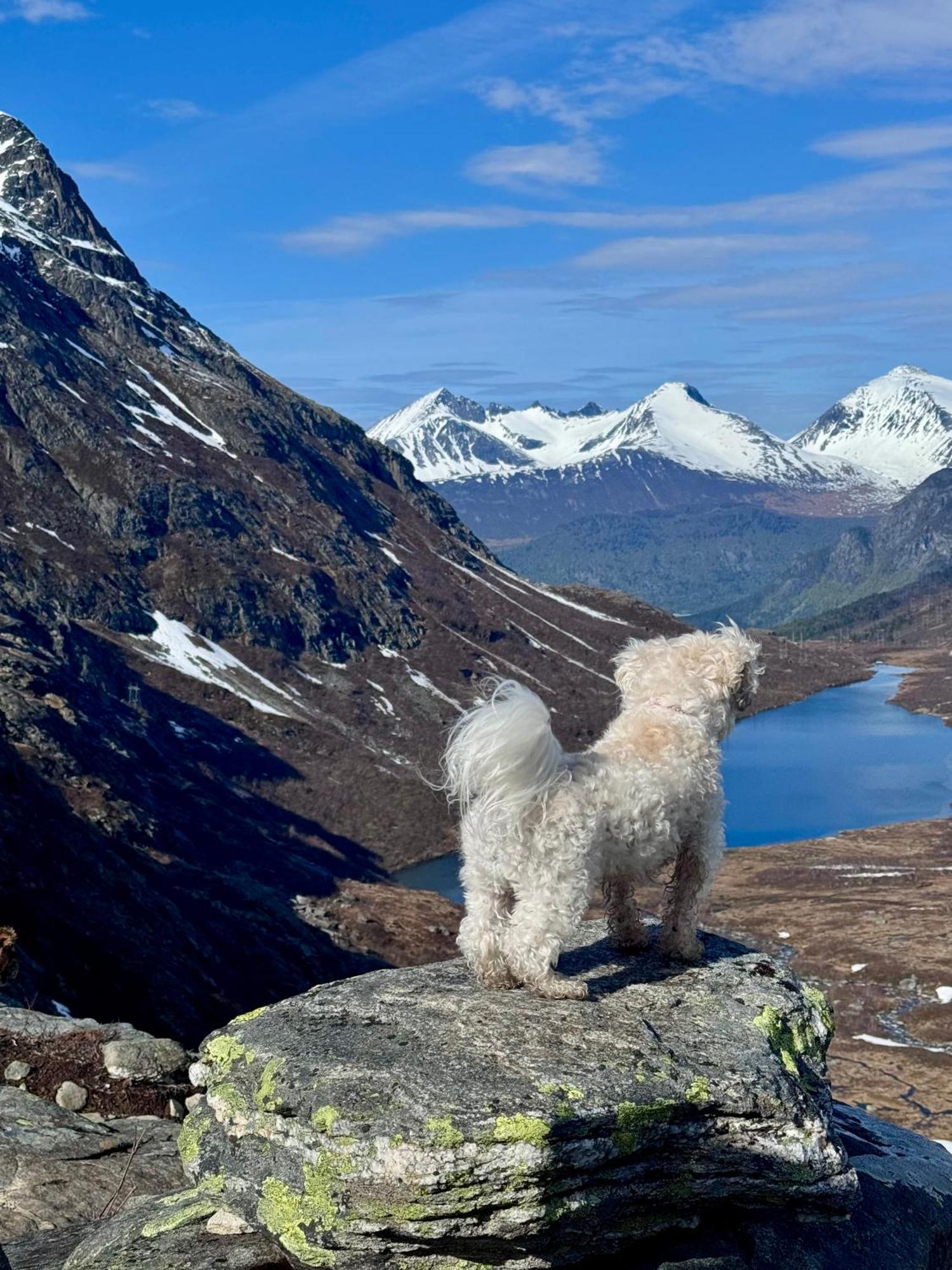 Bispen Utsikten Andalsnes