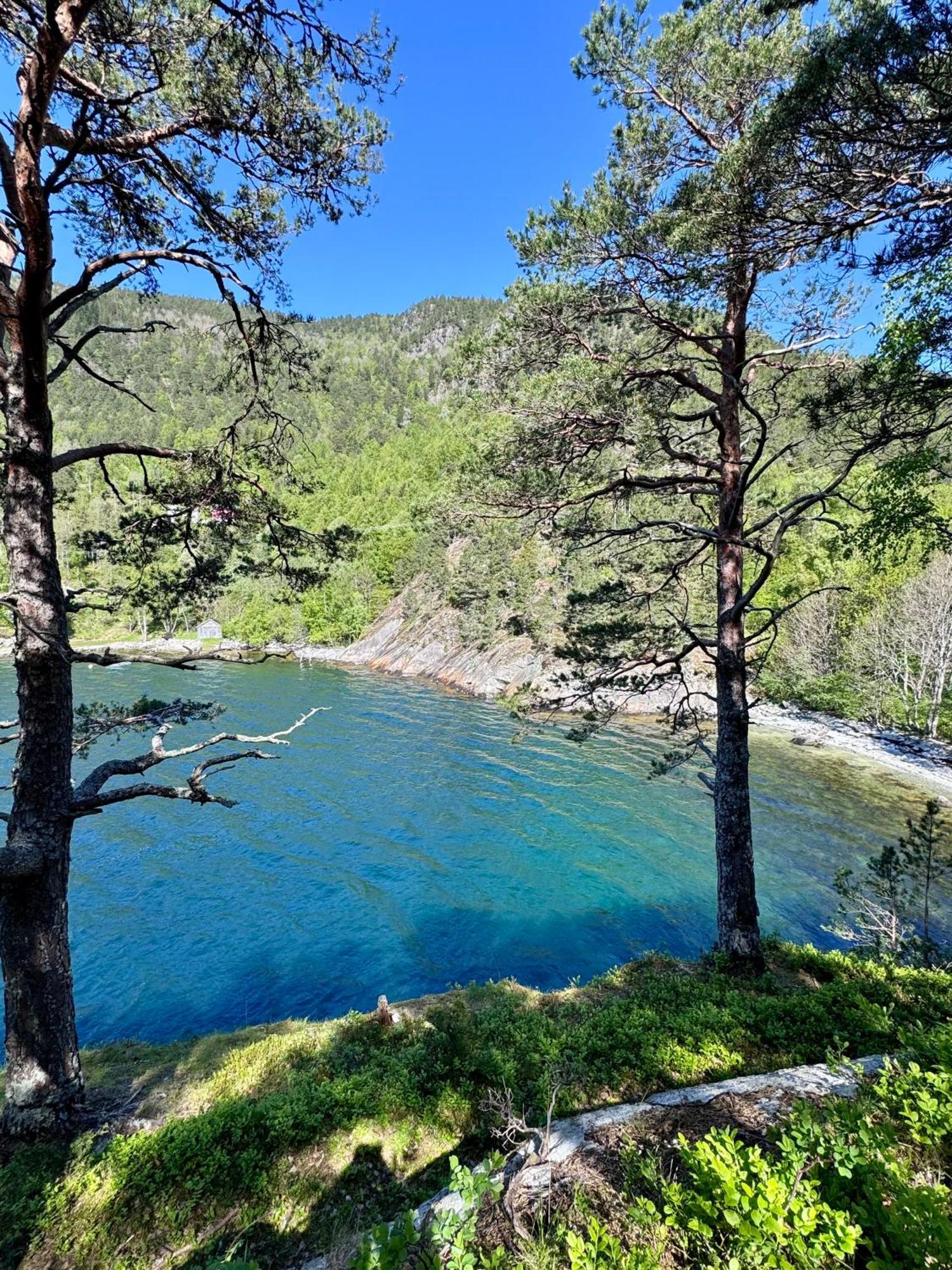 Bispen Utsikten *